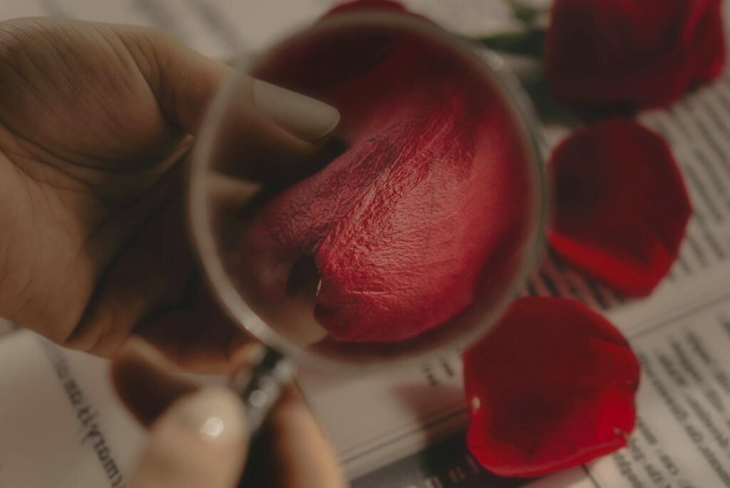 SEO for Service Businesses: Attract Qualified Clients, Not Just Traffic Volume